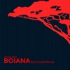 Boiana (Remix) - Single