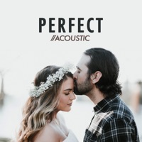 Perfect (Acoustic) - Single - Matt Johnson