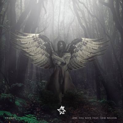 One You Need - Single