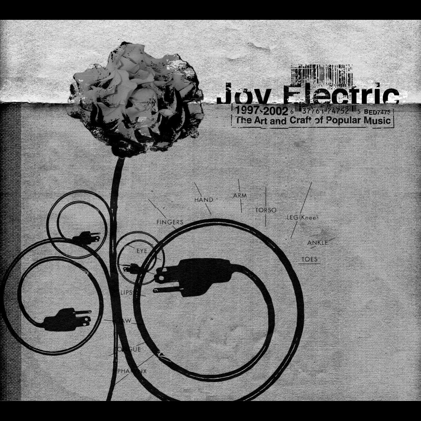 The Art And Craft Of Popular Music by Joy Electric