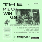 The Pilotwings - Congo libre