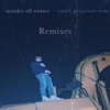 Can't Get Over You Remixes (Remix) - Single