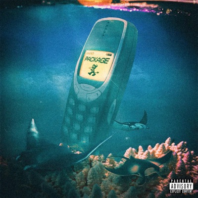 PACKAGE (feat. Field & Yaka) - Single