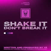 Shake It Don't Break It artwork