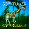 Soft Animals - EP - Sofi Tukker