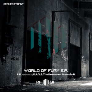 World of Fury - Single