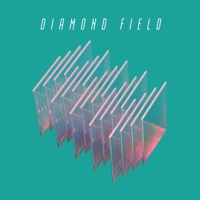 Diamond Field - Diamond Field