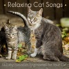 Relaxing Cat Songs: Lullaby Melodies Engineered for Your Cat