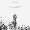 Charity Gayle - Lord You Are My Song (Deluxe Edition)  artwork