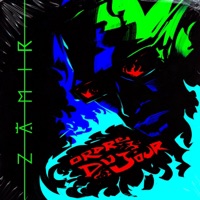 Ordre Du Jour - Single - Zamir