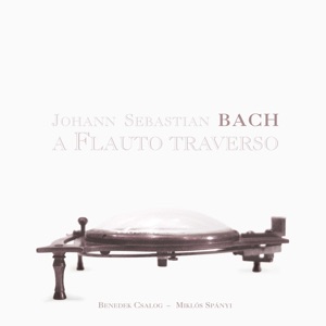 Sonata in E Major, BWV 1035: IV. Allegro assai