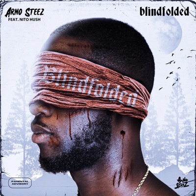 Blindfolded (feat. Nito Hush) - Single