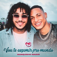 Vou Te Assumir pro Mundo - Single - Banda Sentimentos & Marquinhos Navais