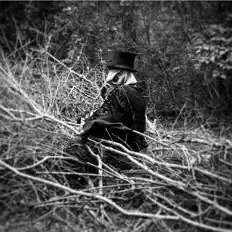 Ascolta A Creatures Cage, guarda video musicali, leggi la biografia, vedi le date del tour & altro!