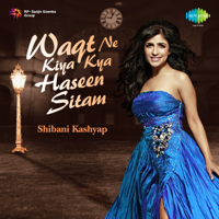 Shibani Kashyap - Waqt Ne Kiya Kya Haseen Sitam artwork