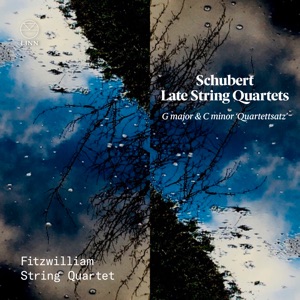Schubert: Late String Quartets. G Major & C Minor "Quartettsatz"