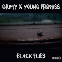Black Flies (feat. Young Promiss) - Single - Grimy