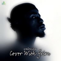 Cover With Grim - Single - Walexsino
