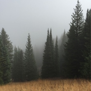 Rain Storm Sounds of Nature