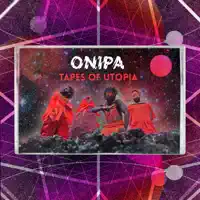 Chicken No Dey Fly — Onipa
