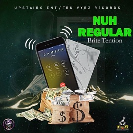 Nuh Regular Brite Tention