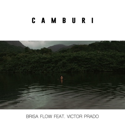 Camburi (feat. Victor Prado) - Single