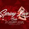Stream & download Spring Love Cutie (feat. Dynasty & Stevie B) - Single