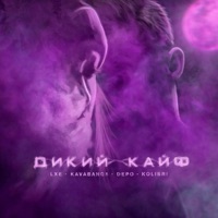 Дикий кайф - Single - LXE & kavabanga Depo kolibri