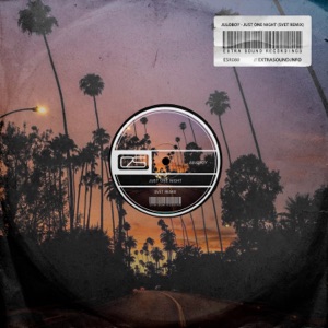 Just One Night (SVET Remix) - Single