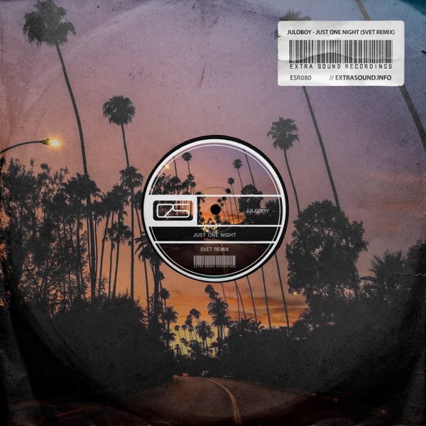 Just One Night (SVET Remix) - Single