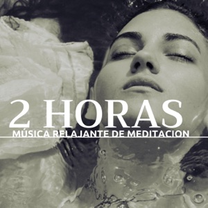 2 Horas de Música Relajante de Meditación - Guia Practica para Vivir Despierto