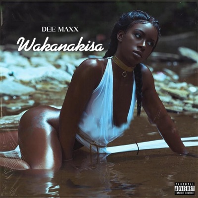 Wakanakisa D_Maxx - Single