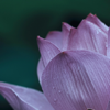 Isht Sodhana Mantra Kriya - Gurucharan Khalsa & Gurusangat Singh