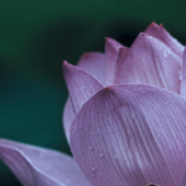 Isht Sodhana Mantra Kriya