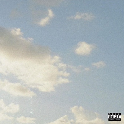 Chichipartner - Single