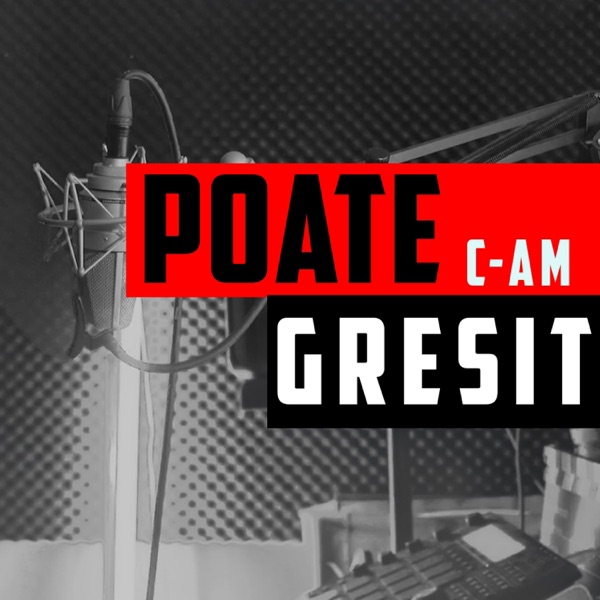 Poate C-am Gresit (Remix) [Remix]