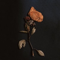 Dor (feat. MarcolaEmici) - Single - $tive