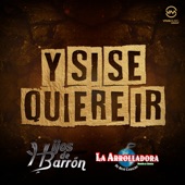 Y Si Se Quiere Ir (En Vivo) artwork