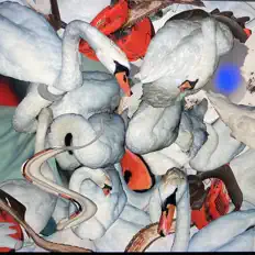 Poslechněte si interpreta Baza Testdrive, sledujte hudební videa, přečtěte si životopis, podívejte se na data turné a další informace.