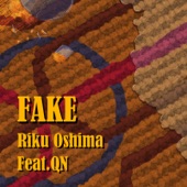 Fake (feat. QN) artwork