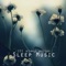 Sleep Sounds - Sophie Am lyrics