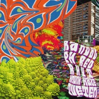 Hazetüten - Single - Randalph Red & Rhythmonk