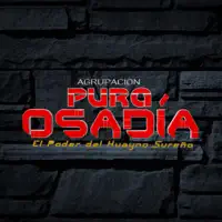 Ya No Quiero Volver Contigo — Agrupación Pura Osadía