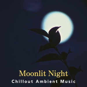 Moonlit Night Chillout Ambient Music