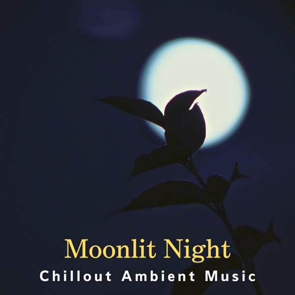 Moonlit Night Chillout Ambient Music