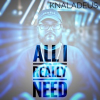 All I Really Need - Single - Knaladeus