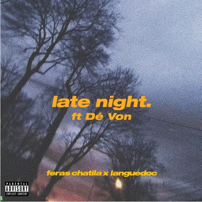 Late Night (feat. Dé Von) - Single