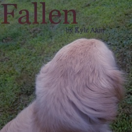 Fallen Kyle Akin & Subtle Places