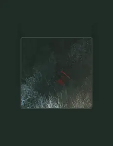 Ouça lg Lorenz, assista a videoclipes, leia a biografia, veja as datas das turnês e mais!