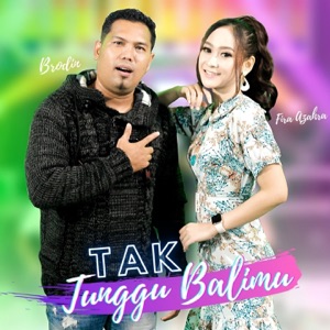 Fira Azahra feat. Brodin New Pallapa Album Art